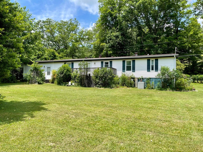 Photo #43: 1124 Irondale Road