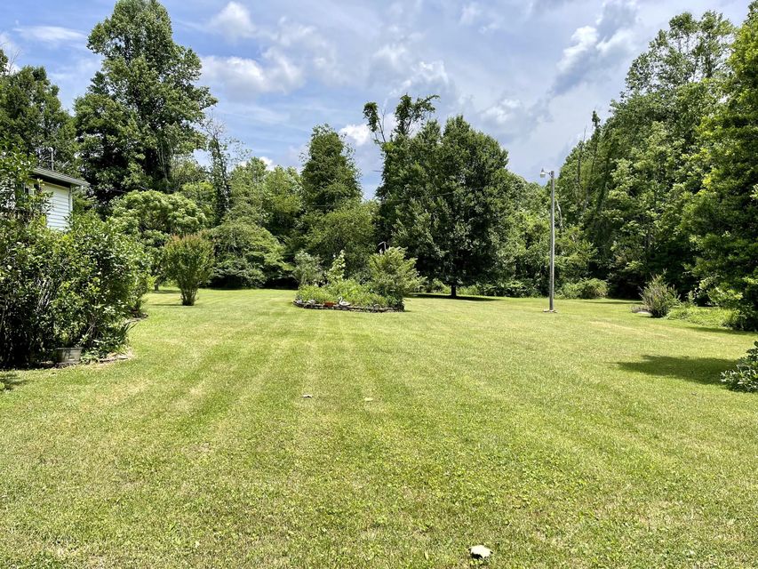 Photo #45: 1124 Irondale Road