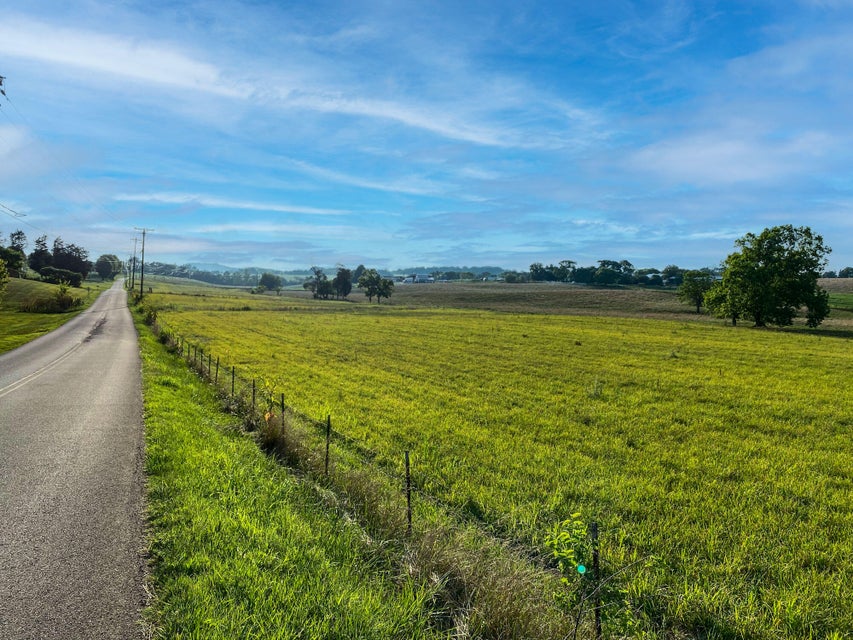 Photo #3: Lot 1 Flat Gap Road