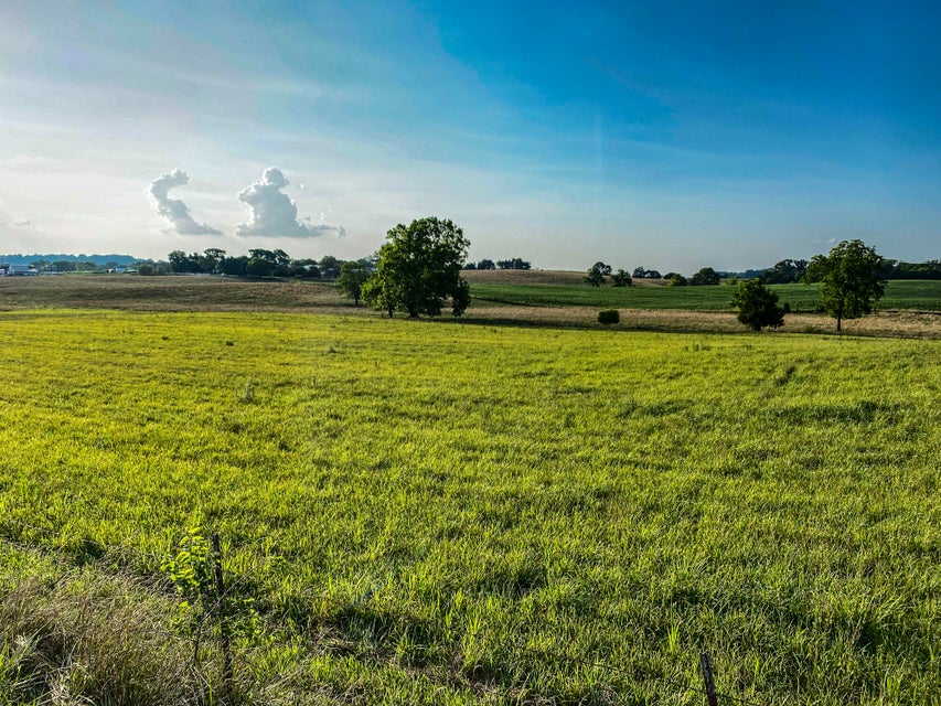 Photo #4: Lot 1 Flat Gap Road