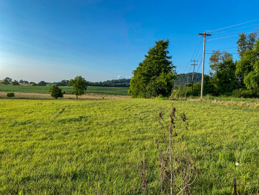 Photo #5: Lot 1 Flat Gap Road