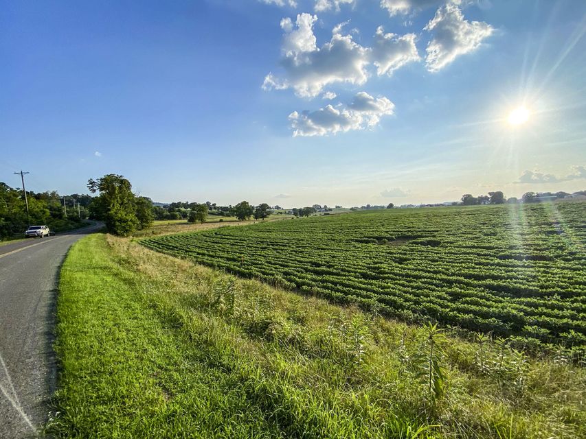 Photo #4: Lot 3 Flat Gap Road