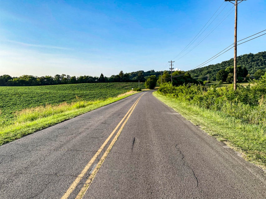Photo #6: Lot 5 Flat Gap Road
