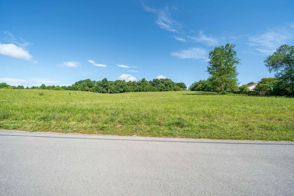 Photo #11: Lot 3 Antioch Road