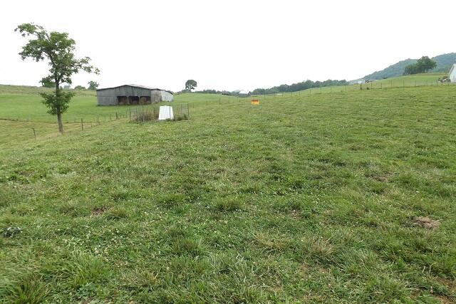 Photo #4: 1921 Dean Hollow Rd
