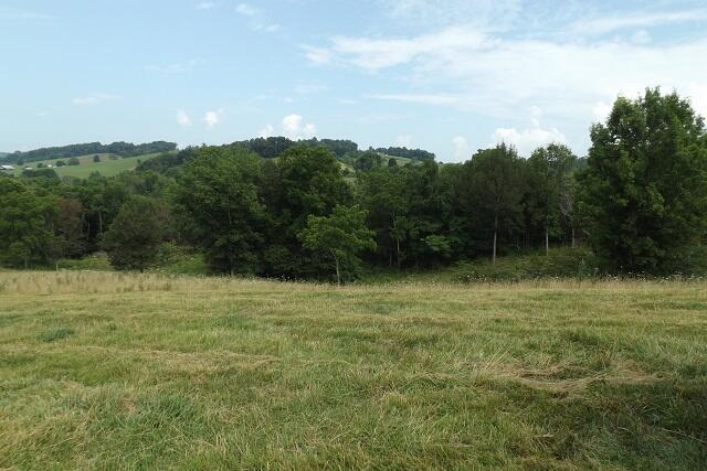 Photo #10: 1921 Dean Hollow Rd