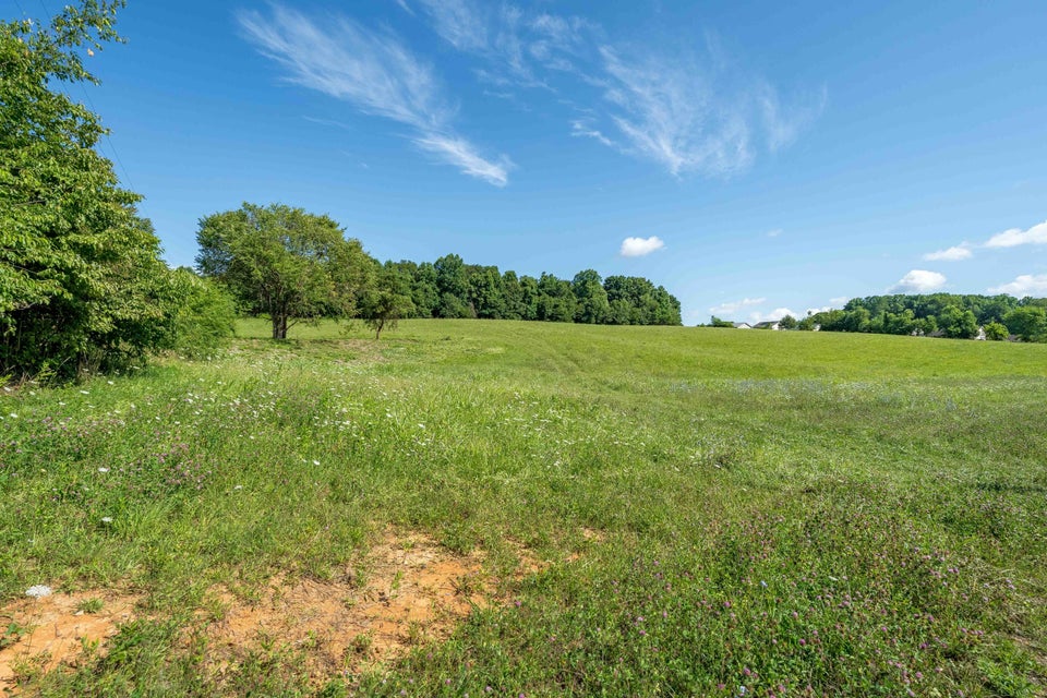 Photo #7: Lot 6 Antioch Road