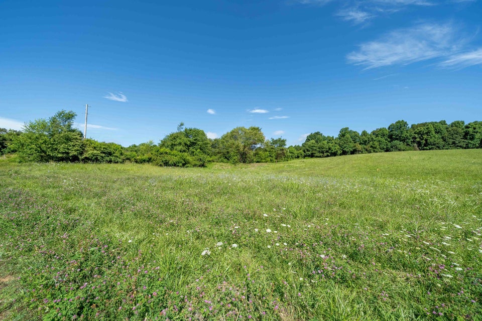 Photo #1: Lot 6 Antioch Road