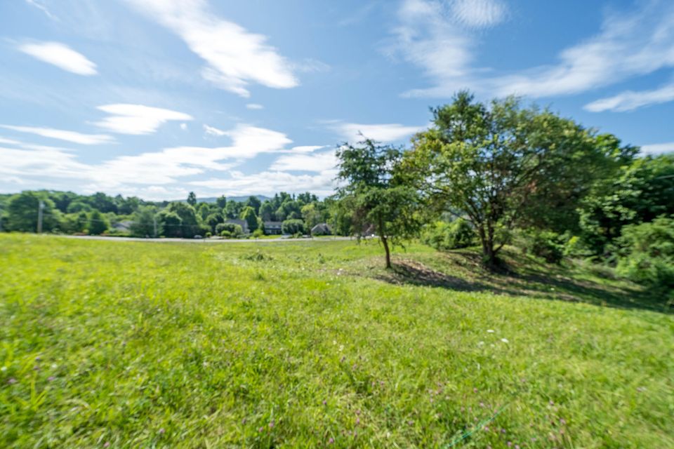 Photo #10: Lot 6 Antioch Road