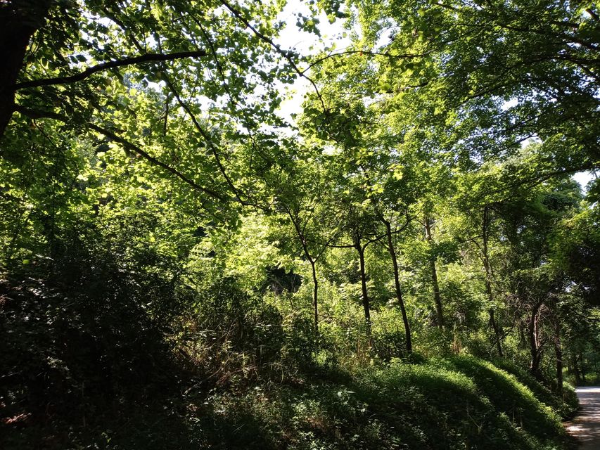 Photo #1: 00 Oaks Road