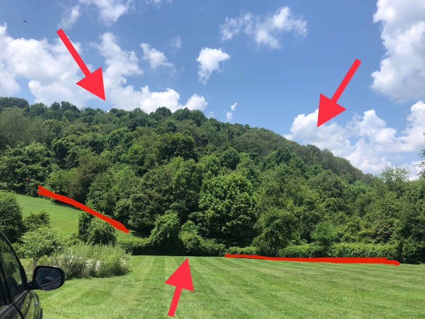 Photo #2: 1426 Reedy Creek Rd