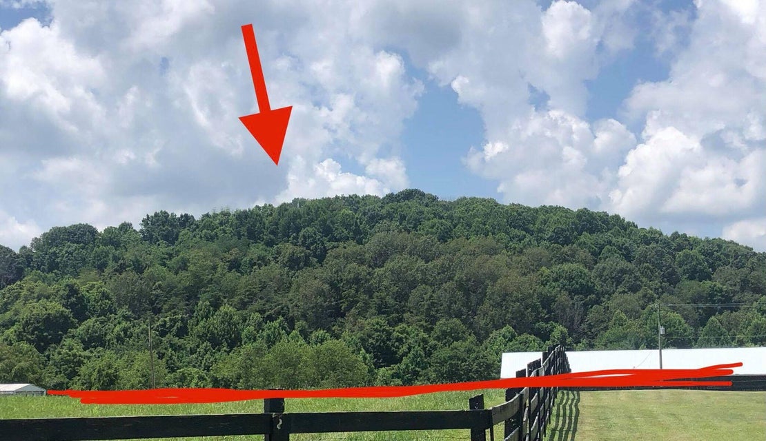 Photo #3: 1426 Reedy Creek Rd