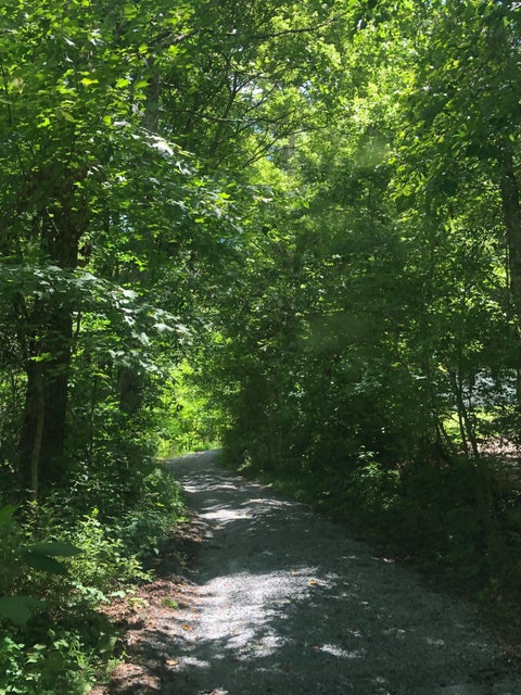 Photo #6: 1426 Reedy Creek Rd