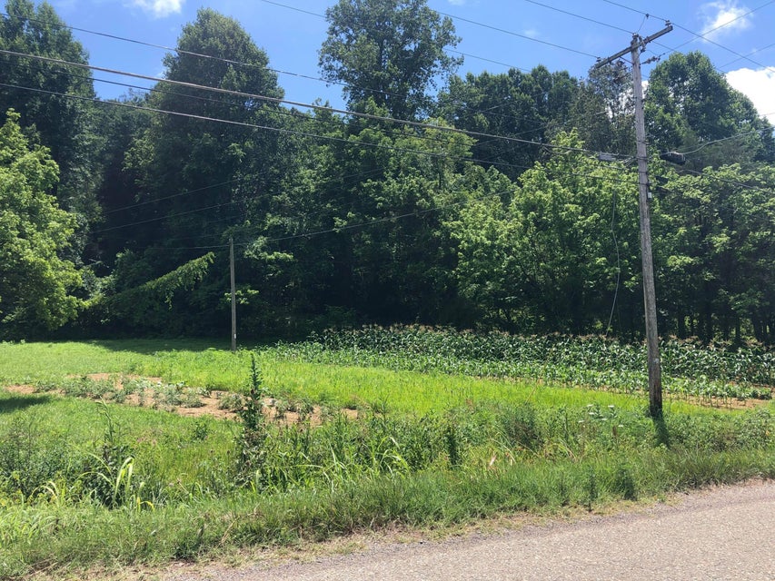 Photo #7: 1426 Reedy Creek Rd