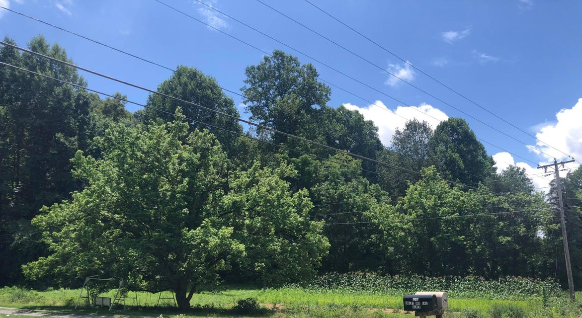 Photo #8: 1426 Reedy Creek Rd
