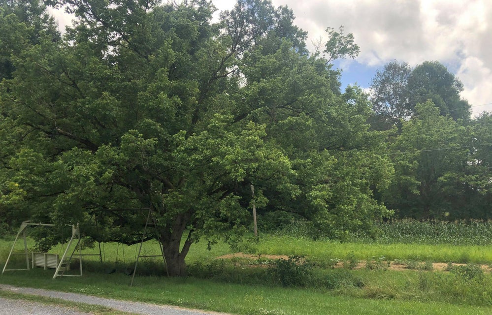 Photo #9: 1426 Reedy Creek Rd