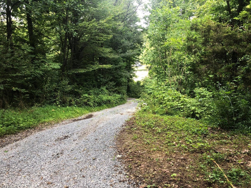 Photo #14: 1426 Reedy Creek Rd