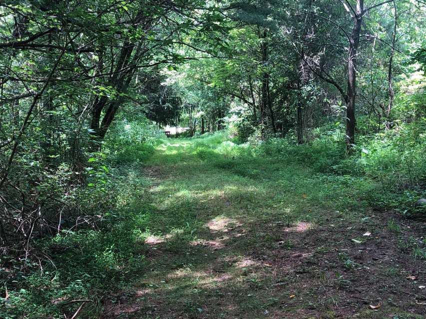 Photo #29: 1426 Reedy Creek Rd