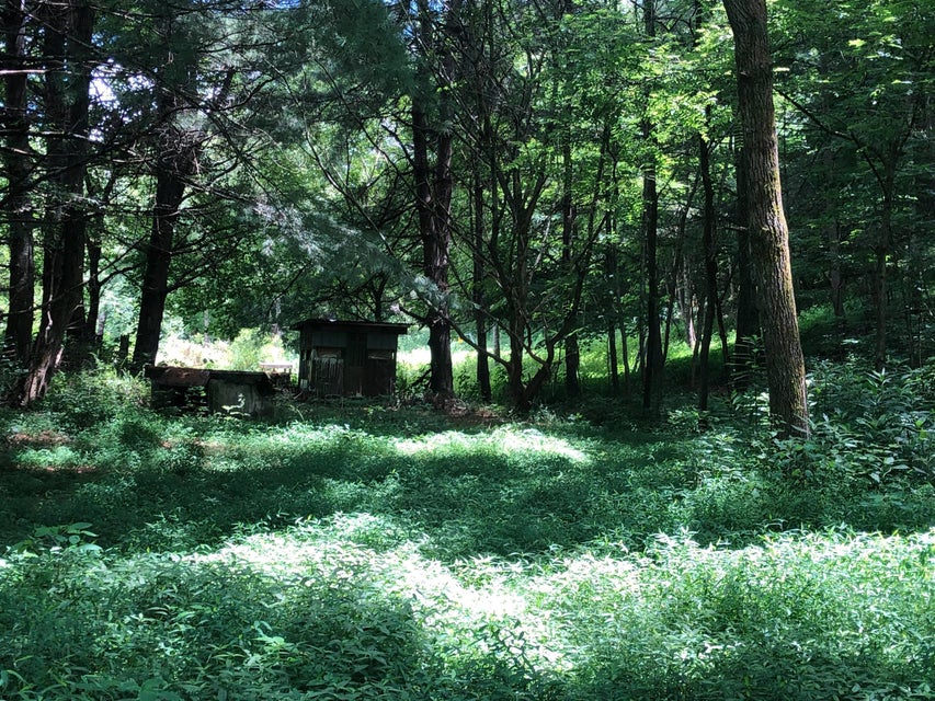 Photo #30: 1426 Reedy Creek Rd