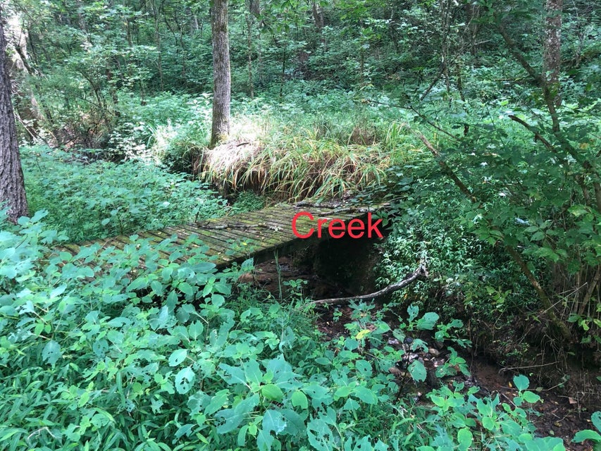 Photo #32: 1426 Reedy Creek Rd
