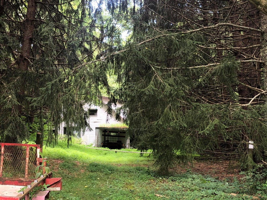 Photo #33: 1426 Reedy Creek Rd