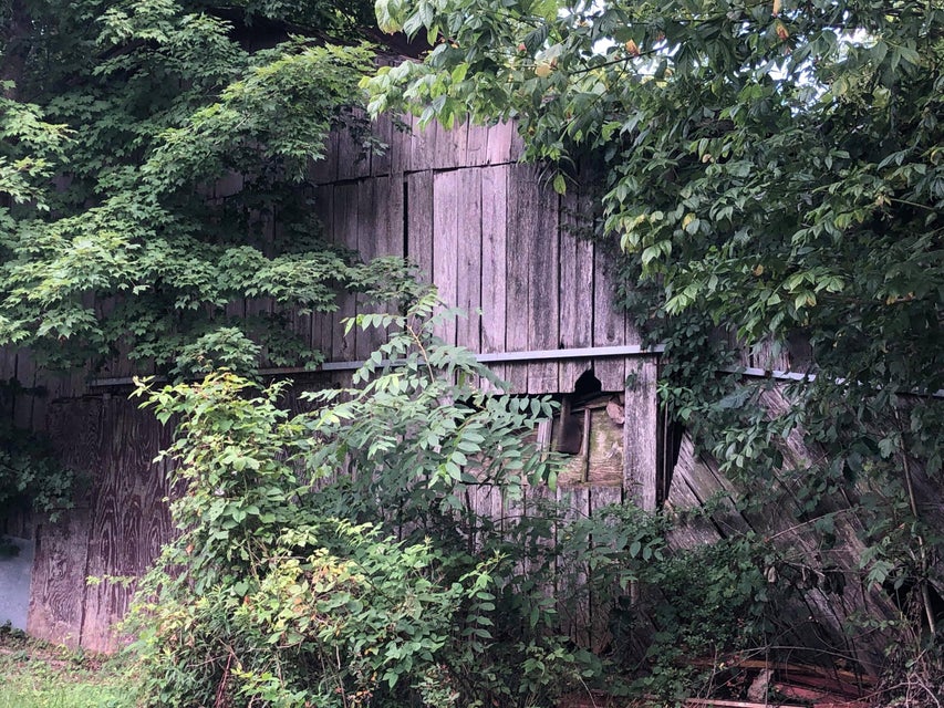 Photo #27: 1426 Reedy Creek Rd