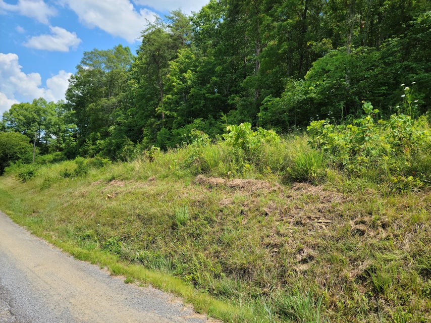 Photo #3: Tbd Green Road