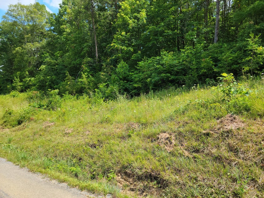 Photo #5: Tbd Green Road
