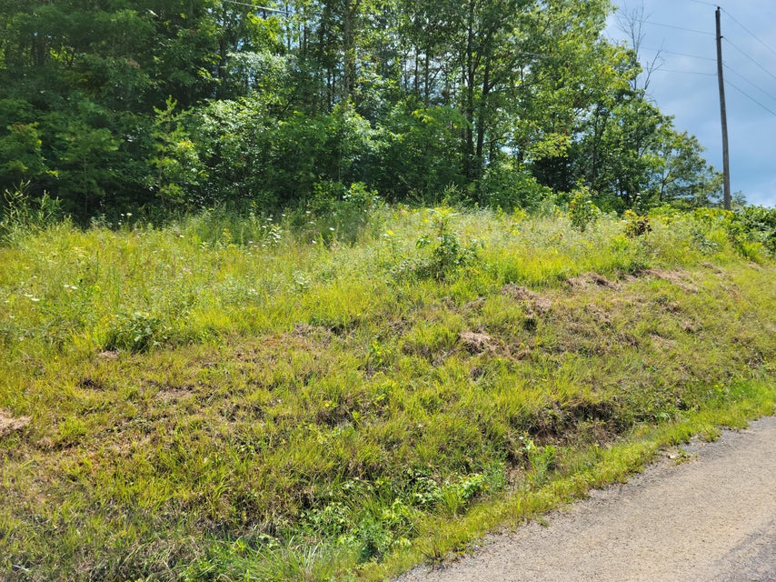 Photo #6: Tbd Green Road
