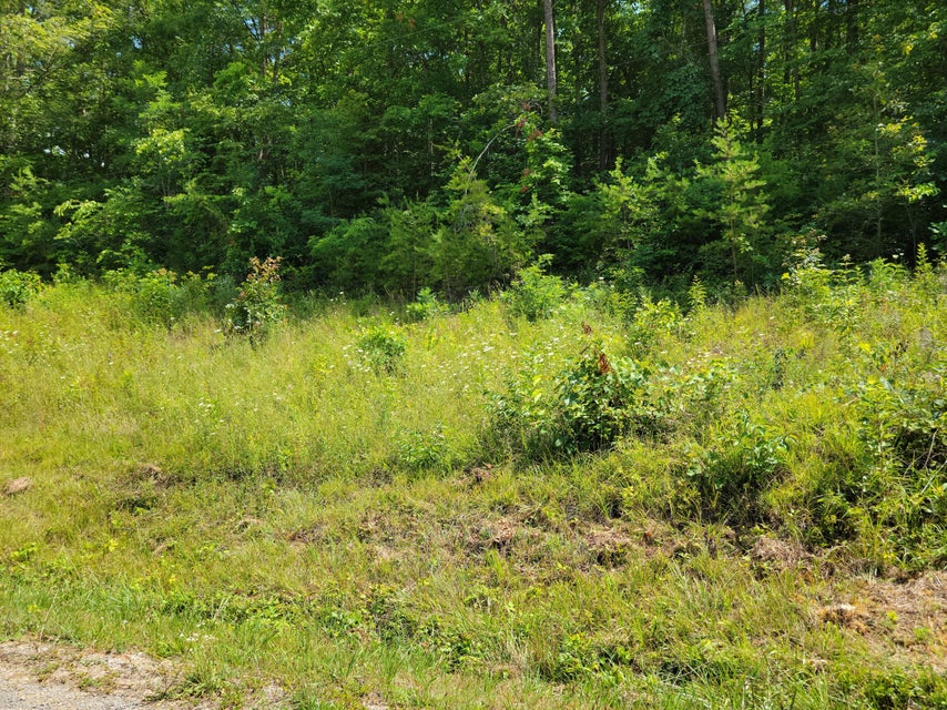 Photo #8: Tbd Green Road