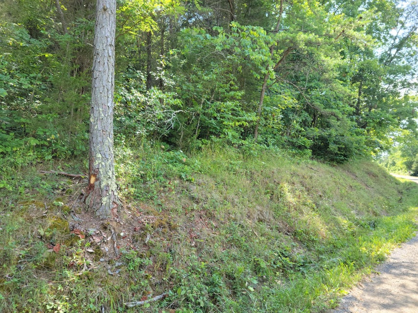 Photo #19: Tbd Green Road