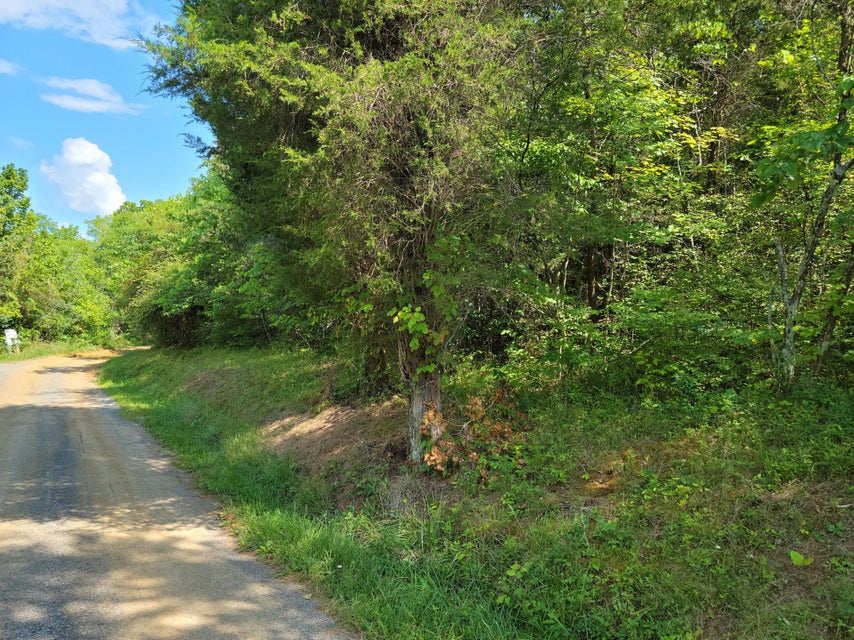 Photo #20: Tbd Green Road