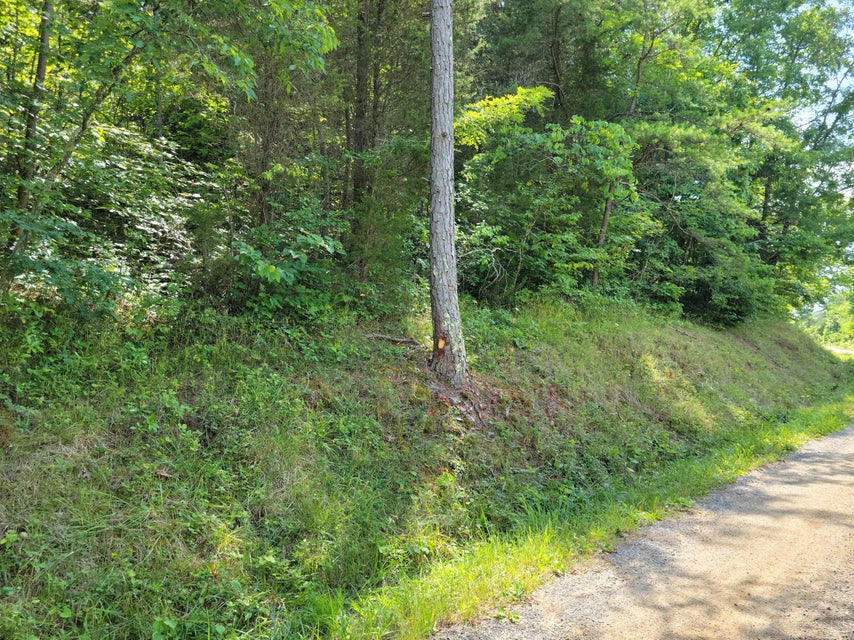 Photo #21: Tbd Green Road