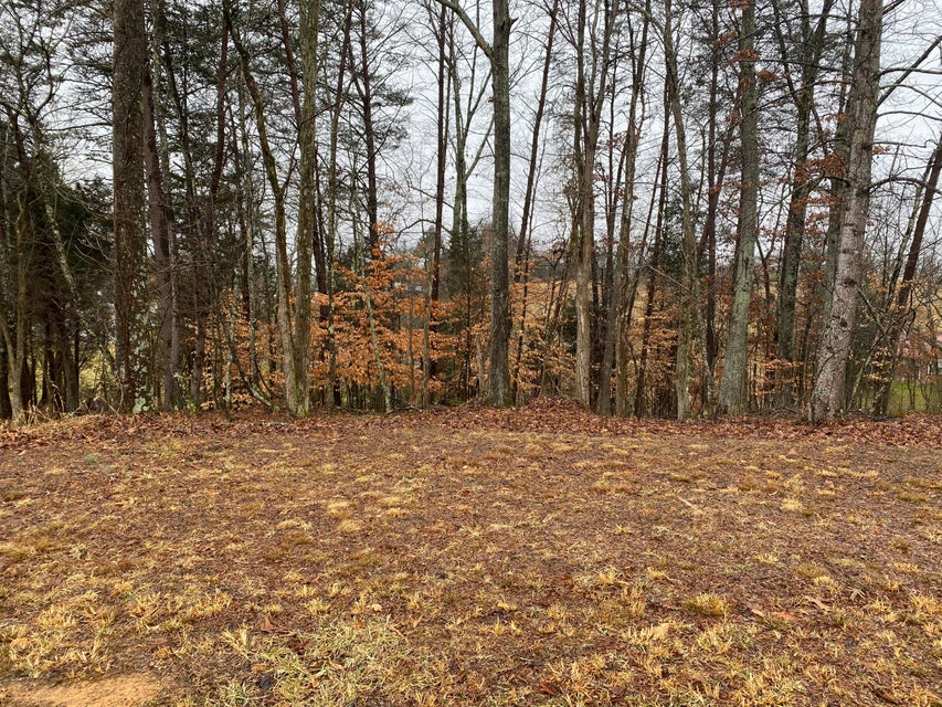 Photo #1: 2029 Scenic Pointe Place