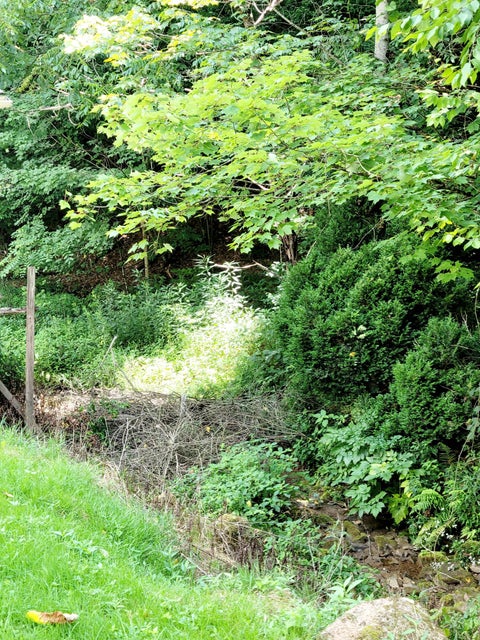 Photo #7: 3058 Aily Road