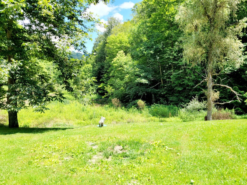 Photo #14: 3058 Aily Road