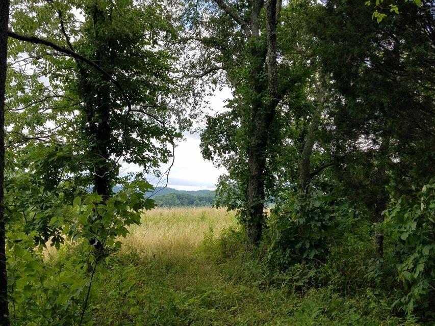 Photo #1: 00 Highway 131