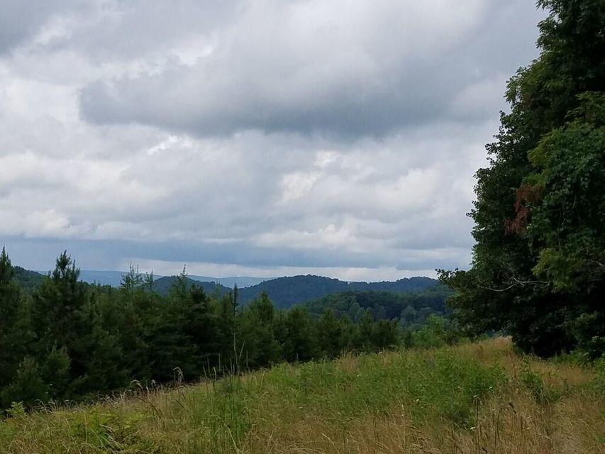 Photo #2: 00 Highway 131