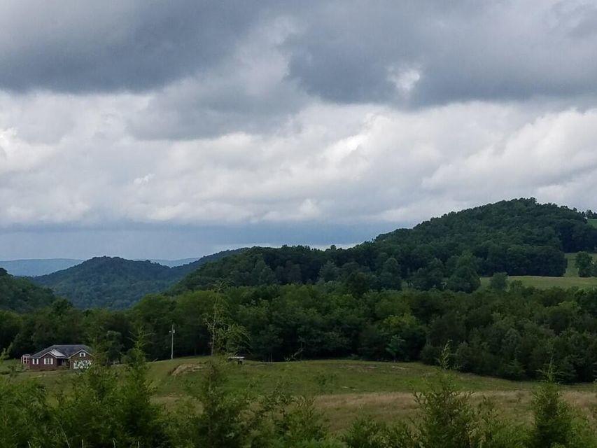 Photo #3: 00 Highway 131