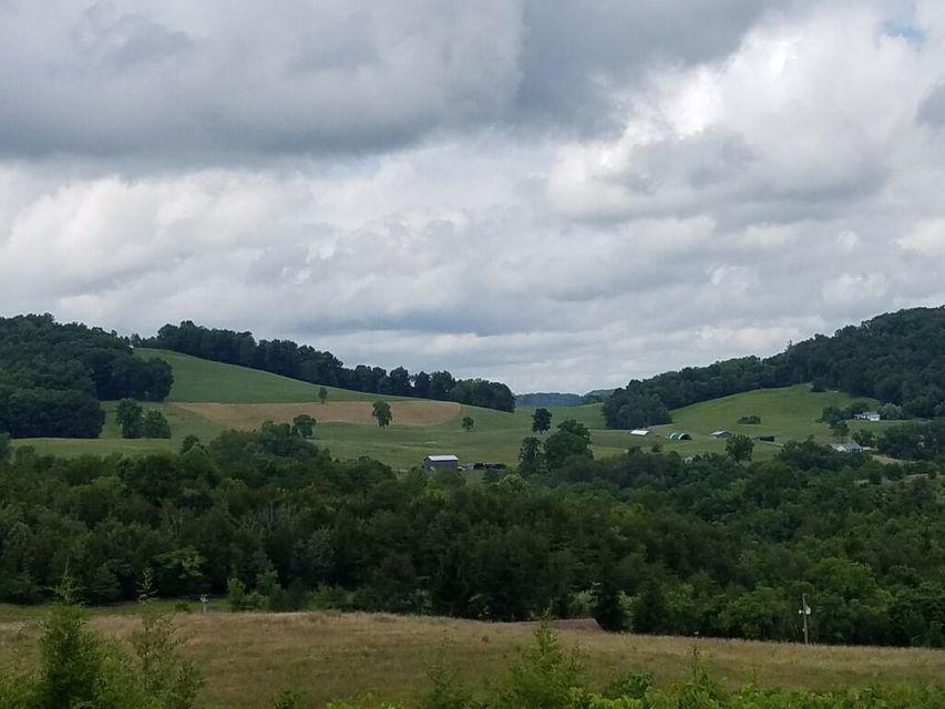 Photo #4: 00 Highway 131