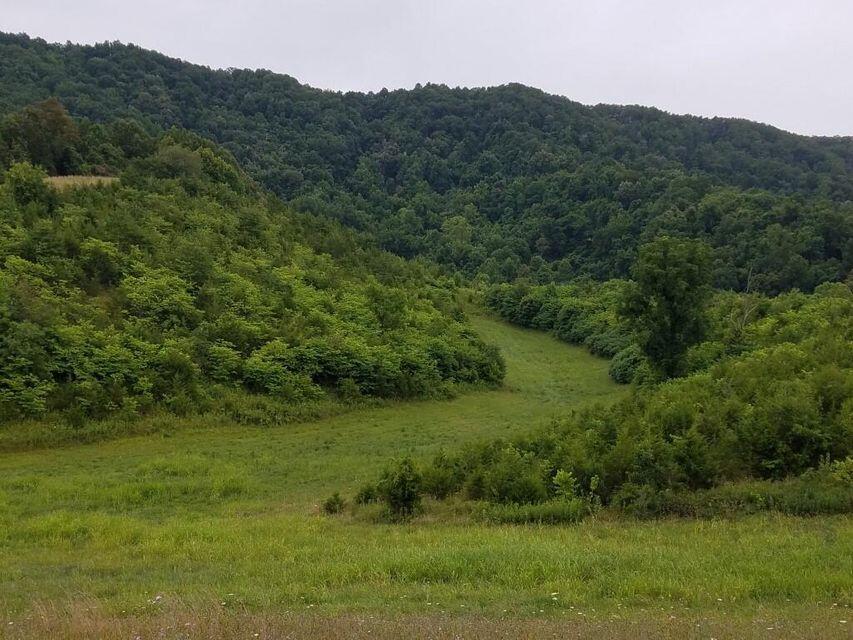 Photo #8: 00 Highway 131