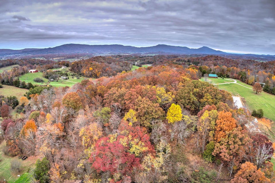 Photo #19: 3190 Old Baileyton Road
