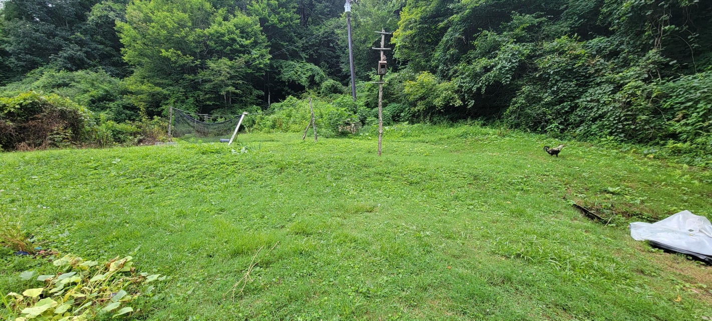 Photo #5: 1744 Monarch Road