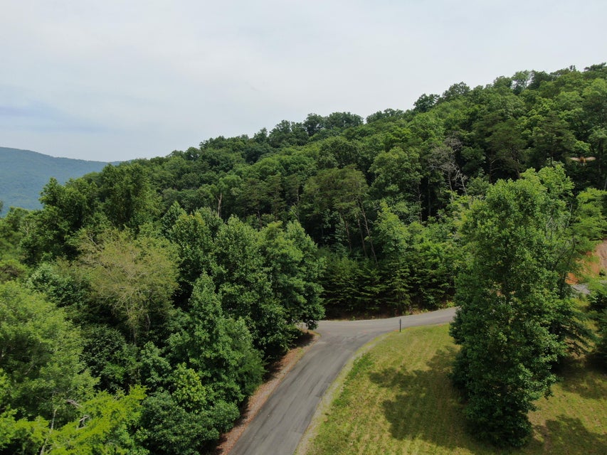 Photo #21: Lot 1 Walnut Bend Drive