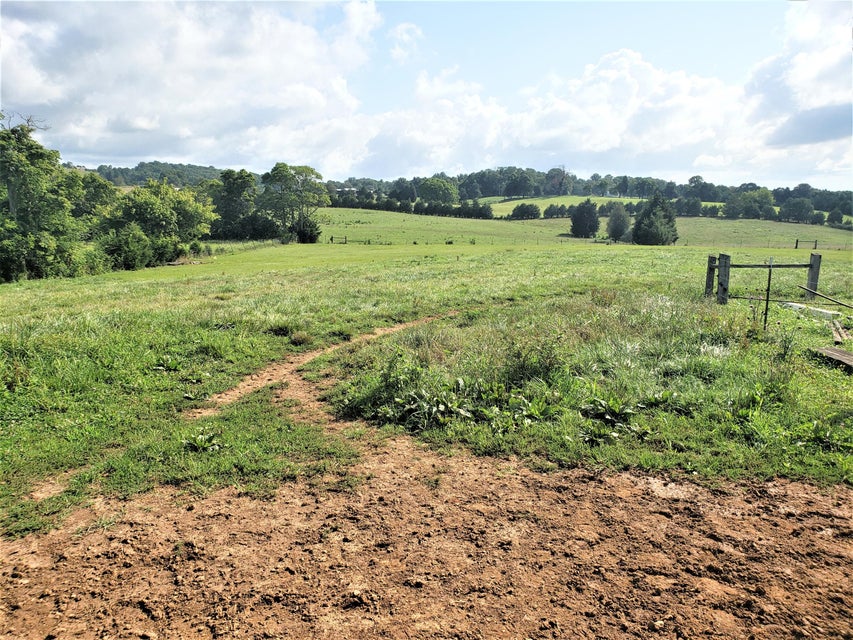 Photo #26: 1335 Melinda Ferry Road