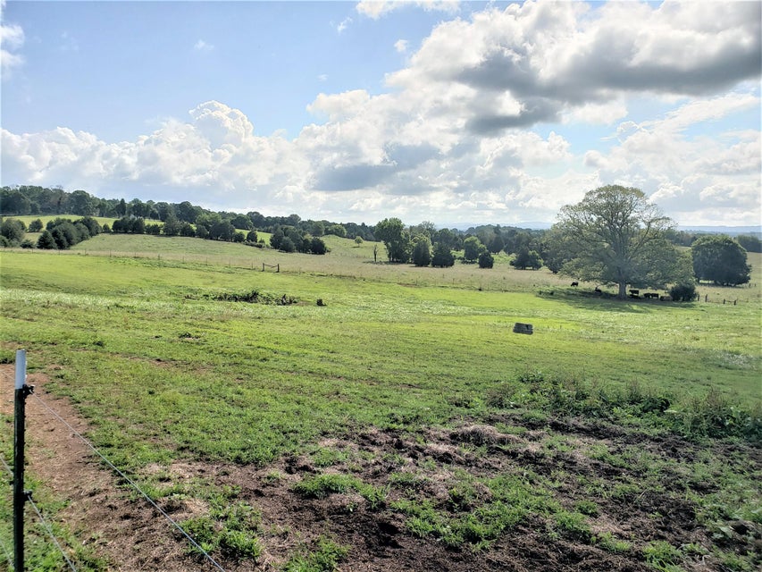 Photo #16: 1335 Melinda Ferry Road