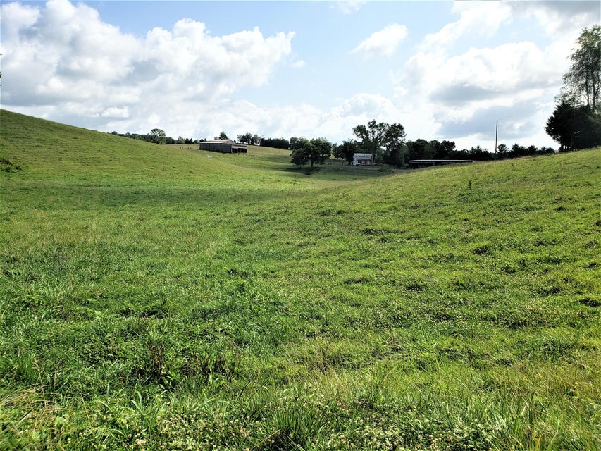 Photo #23: 1335 Melinda Ferry Road