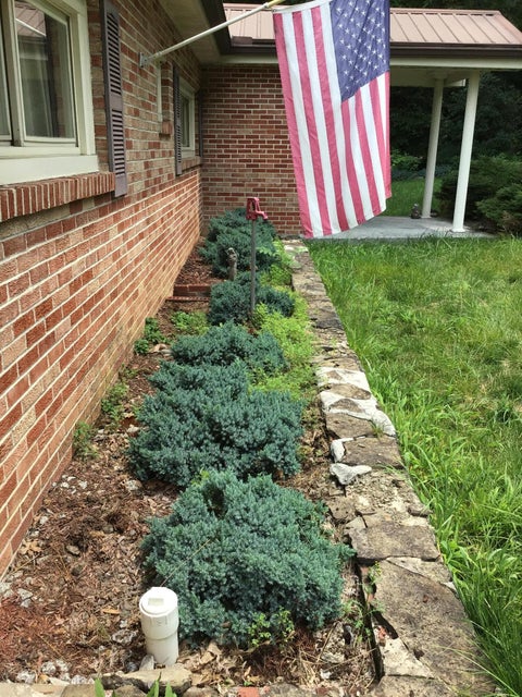 Photo #6: 617 Woodland Terrace