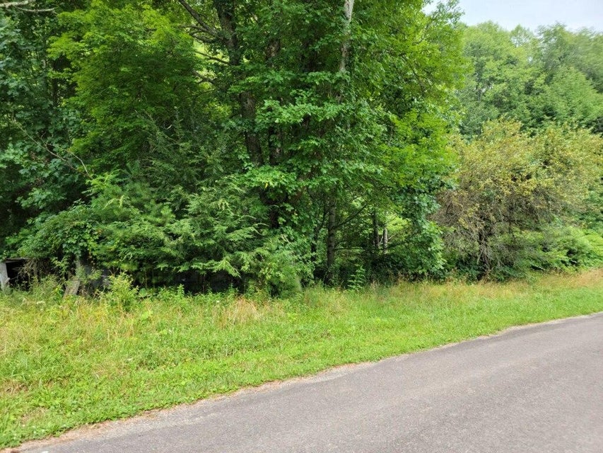 Photo #2: 1598 Shingletown Road