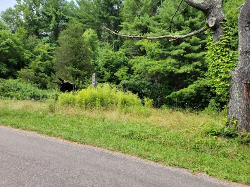 Photo #3: 1598 Shingletown Road